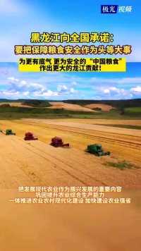 黑龙江省政府工作报告：2023年黑龙江要把保障粮食安全作为头等大事！为更有底气、更为安全的“中国粮食”作出更大的龙江贡献！