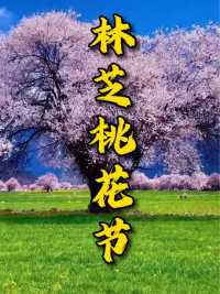 有一种春天叫西藏林芝，那什么时候去林芝赏桃花最合适呢？#途乐自驾游 #广东进藏车队 #林芝桃花#西藏自驾游