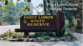 Point Lobos State Natural Reserve
洛沃斯角国家级自然保护区是第一次来访。一人独行但偶尔也会遇到陌生人相伴，也是一种乐趣！
