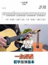 卢冠廷【一生所爱】初学指弹版本#吉他教学