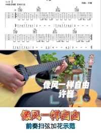 许巍【像风一样自由】#吉他教学
