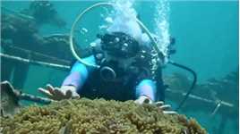 巴厘岛潜水体验