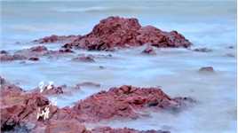 琼海的红石滩位于潭门海和博鳌海的交界处，因海滩上红色的岩石而得名，往北为潭门，往南为博鳌，这一片赭红礁石成为博鳌海和潭门海的天然分界线。