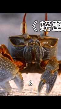 一只大闸蟹吃葡萄长到了坦克大小，你想清蒸还是红烧？螃蟹怪物来袭。