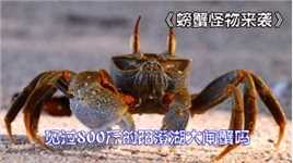 一只大闸蟹吃葡萄长到了坦克大小，你想清蒸还是红烧？螃蟹怪物来袭。