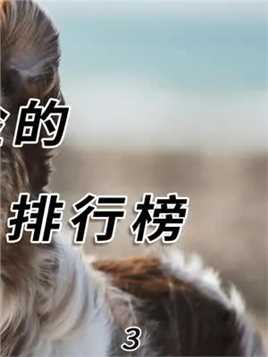 盘点世界上最凶猛的十大恶犬，东方战神藏獒只配垫底#科普