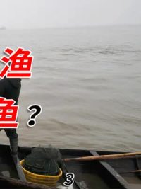 长江十年禁渔，为啥还能钓鱼？灭绝的白鱀豚还能重现吗？#科普