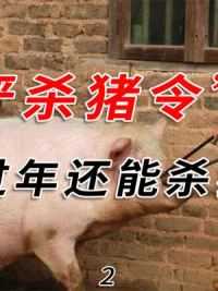 252. 农民在自家杀猪被罚10万元，“最严杀猪令”下发，过年还能杀猪吗#科普