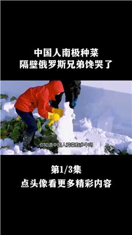 中国人种菜有多牛？在冰天雪地的南极，是怎样种出瓜果蔬菜的#科普