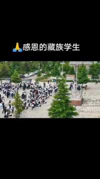 感动! 藏文中学的学生高考结束后，自发自愿向学校磕头跪拜行感恩礼。