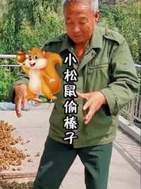 辛辛苦苦采的榛子竟然便宜了小松鼠！#长城保护员 #万里长城 #我的乡村生活 #榛子 #小松鼠