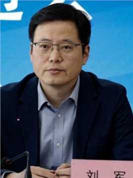 中超公司董事长刘军接受审查调查