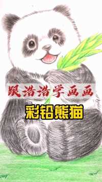 彩铅熊猫