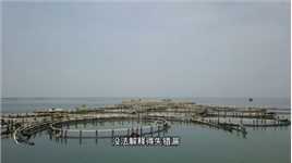 广东无人小岛，水很清，鱼很多。