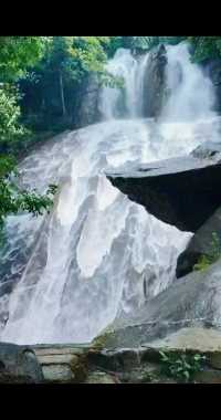 这瀑布太美了吧，还是黄山北门山脚下，一处免费景点。瀑布顺岩石而下，瀑布前还有一巨石伸出来，造型奇特。