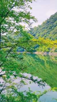 黄山西门附近的毛坦村，建有一个水库，山林茂密，溪水淙淙，像极了世外桃源。