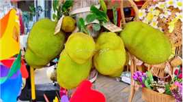 波罗蜜 椰子 🥥梹榔 椰寶#海岛度假 #热帶水果#海南特产 #树上熟的菠萝蜜 #水果自由 