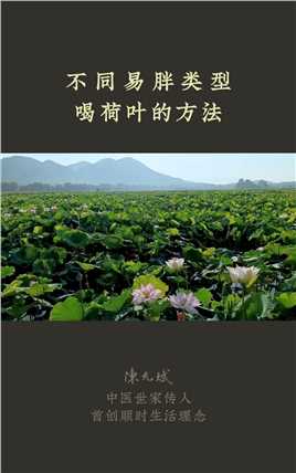 《本草纲目》：“荷叶服之，令人瘦劣”，不同的易胖类型可以这样喝，越喝越苗条