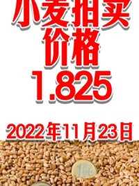 #小麦 #心系三农服务三农 #小麦价格 #三农种植 #粮食人