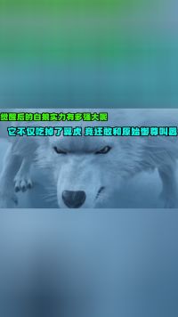 西行纪：觉醒后的白狼实力有多强大？它不仅吃掉了翼虎，竟还敢和原始御尊叫嚣！