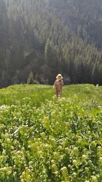 我的老妈与我们爬山涉水来到这片开满鲜花的草地，为她点赞！