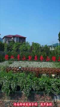济南柳埠葫芦套村，美丽乡村代表，四季有不同景色，非常漂亮！