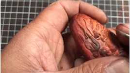 终于完工了，印度小叶紫檀火麒麟