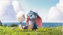 奥斯卡提名短片《兔耳袋狸》上