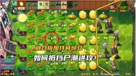 植物大战僵尸融合版：冒险模式第五关，皮皮余如何抵挡尸潮通关！