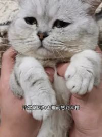 我和小猫的故事 #渴望猫粮 #超模爱宠顶配渴望