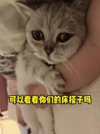 这跟自己生的有什么区别？#我和我的猫