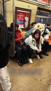 #纽约的地铁竟然会这么乱