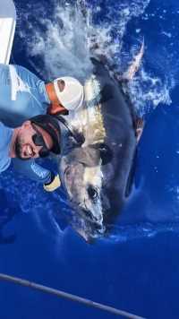 #国外小哥捕捞到一条体型超大的蓝鳍金枪鱼