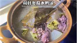 广东三伏天营养汤水系列，今日推介荷叶冬瓜水鸭汤，男女老少皆宜