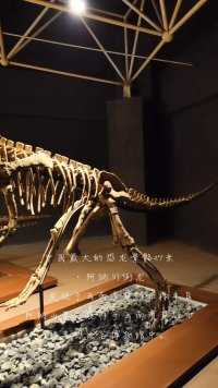 新作业[抱拳][握手]
——「中国最大的恐龙骨骼27米·阿纳川街龙」
       发现于云南省楚雄市禄丰县阿纳山寨，现存于云南省楚雄市禄丰恐龙谷博物馆中。