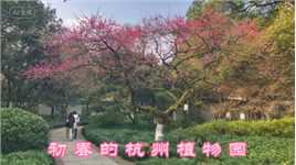 踏青--初春的杭州植物园
