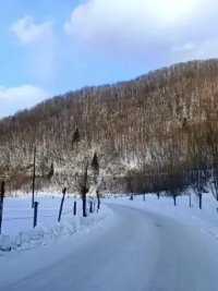 最美的风景在路上#最美家乡路 #东北的冬天