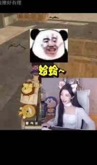 路人是这么评价呆妹的