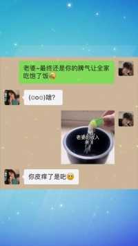 每帧都是表情包