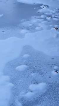 今天腊八节，冷！冷有冷的乐趣，我喜欢去踩没有脚印的雪地，在冰河里找藏起来的小怪兽  #旅行  #腊八节  #随手一拍