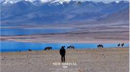 #无阿里不西藏 阿里是每个进藏人的终极梦想，这里是世界上海拔最高的地方，也是生命的禁区。独特的海拔造就了最独特的地貌！