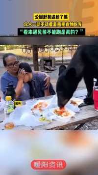 公园野餐遇到了熊众人一动不动看着熊把食物吃光“看来遇见能不能跑是眞的”