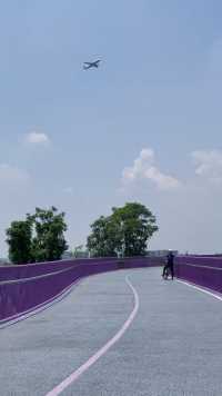 骑着共享单车穿行花间，成都绕城绿道『悦动彩林』✈️紫色网红桥。