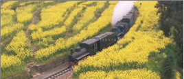 开往春天的火车
在四川省犍为县，目前依然运行着老式窄轨蒸汽火车-嘉阳小火车。