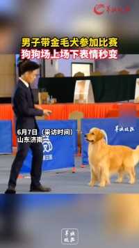 男子带金毛犬参加比赛
狗狗场上场下表情秒变