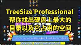 TreeSize Professional 帮你找出硬盘上最大的目录以及它占用的空间