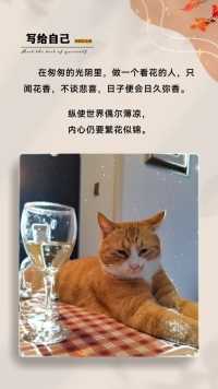 美酒加猫咪，一杯接一杯～😄😄😄