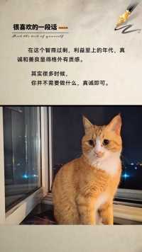 猫咪是人生博导1～😄😄😄