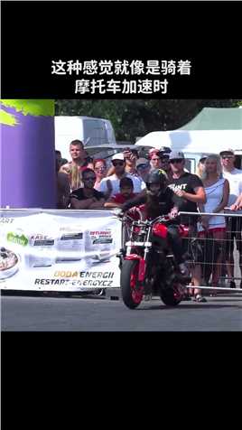 你见过蜥蜴逃跑吗？