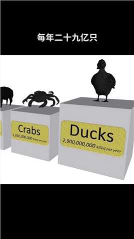 你知道哪种动物每年SW最多吗？